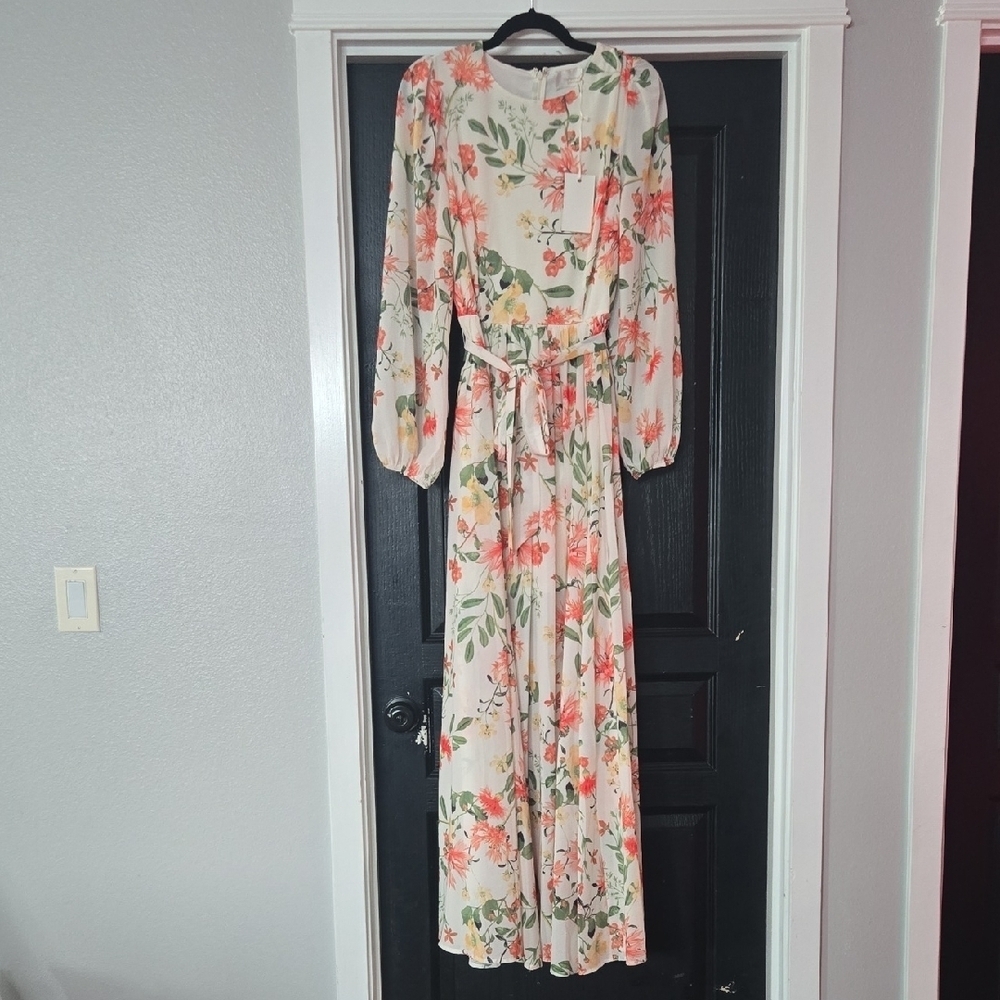 Yumi Kim Champagne & Strawberry Floral Blouson Sleeve Maxi Dress Size Medium
